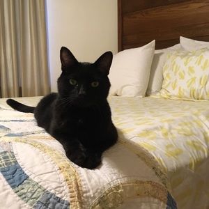 Meet your Posher, Sally